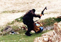 Şükret Seyfi şükret!