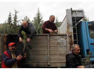 Beypazarı'nda fidanlar toprakla buluştu