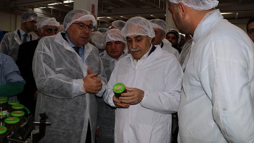 Gıda, Tarım ve Hayvancılık Bakanı Fakıbaba: Et üreticimizi mağdur etmeyeceğiz