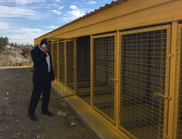 Seydişehir belediyesi 'nden sokak hayvanlarına barınak