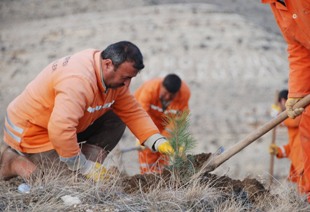 Seydişehir'de ağaç dikme harekatı