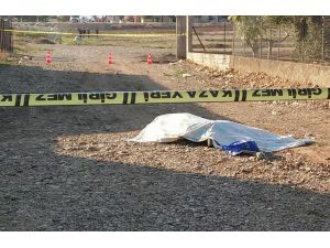 Adana'da trafik kazası: 2 ölü