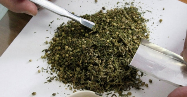 İstanbul’a giden 151 kilogram esrar Kocaeli’de ele geçirildi