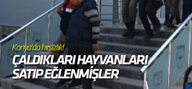 Konya'da hırsızlık! Çaldıkları hayvanları satıp eğlenmişler