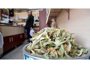 Havalar soğudu ıhlamur satışları arttı