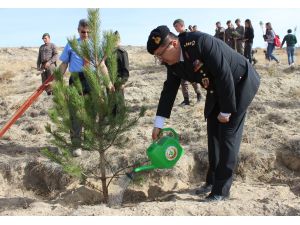Jandarma Şehitler Ormanı'na fidan dikimi