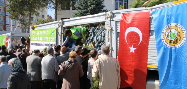 Konya'da 10 bin ceviz ve çam fidanı dağıtıldı