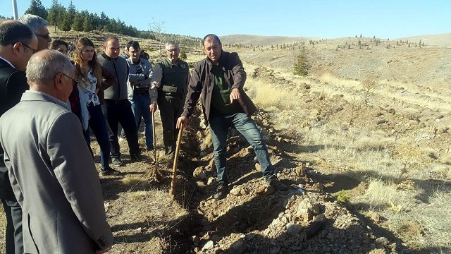 Yunak'ta bin adet fidan toprakla buluşturuldu