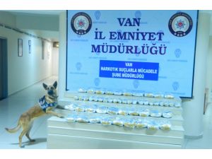 Van'da uyuşturucu operasyonu