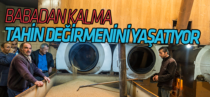 Babadan kalma "tahin değirmeni"nin çarkını döndürüyor