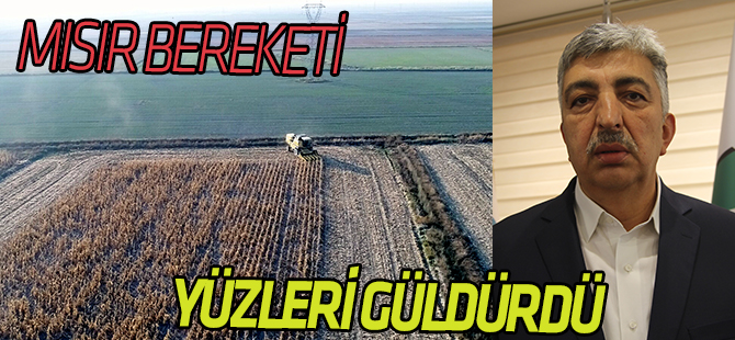 Konya Ovası'nda mısır hasadı yüz güldürüyor