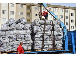 Irak-İran sınırındaki deprem