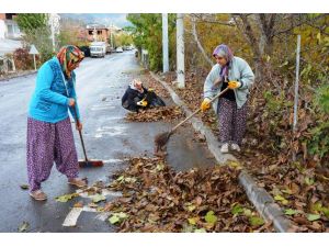 Mihalgazi'de sonbahar temizliği