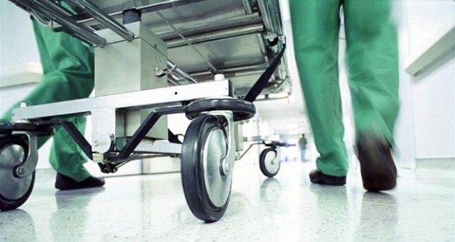 Güney Kore’de kuş gribi alarmı