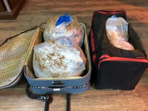 Şanlıurfa'da telefon dolandırıcılığı operasyonu