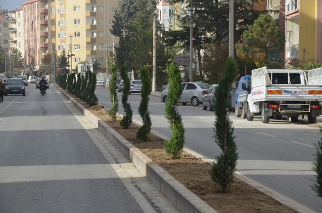 Özgüven: Estetik ve Daha Güzel Bir Ereğli İçin Çalışıyoruz