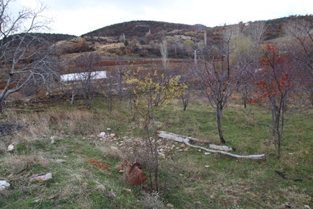 Konya'daki "hayvan otlatma" kavgası