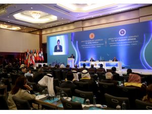 APA 10. Genel Kurulu