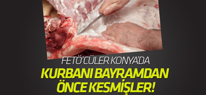 FETÖ'cüler kurbanı bayramdan önce kesmiş