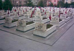 On şehidin katili sensin!