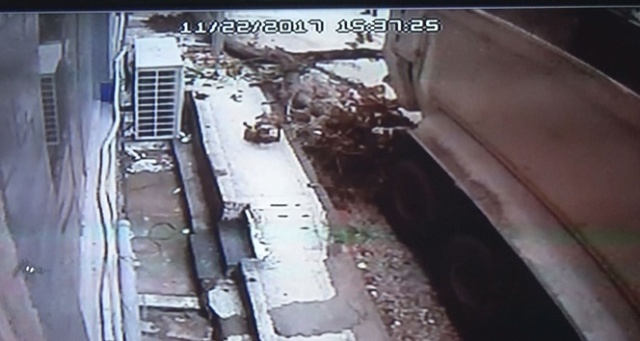 Hafriyat kamyonu yarım asırlık ağacı böyle devirdi