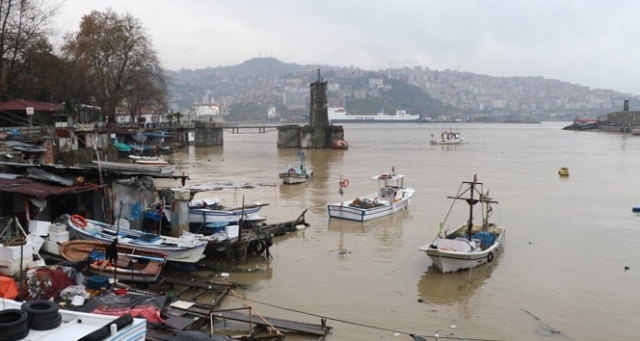 Zonguldak Limanı sarıya boyandı