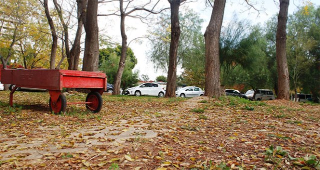 Antalya’da sonbahar güzelliği