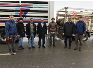 Gölova'da "Genç Çiftçi Projesi"