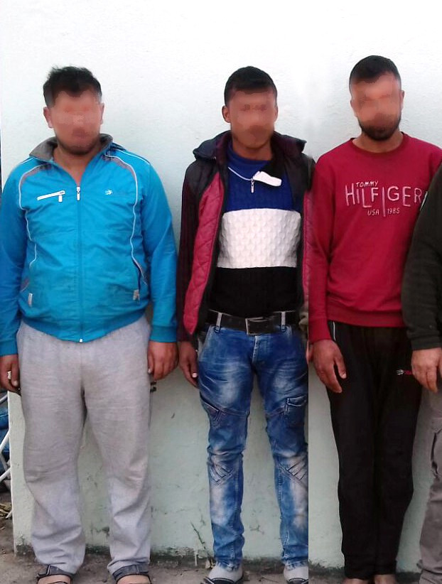 Güvercin Katliamı Yapan 3 Şahsa 13 Bin 428 TL Para Cezası