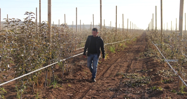 Taşlı tarladan servet kazandı