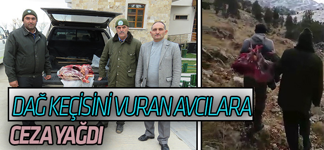 Koruma altındaki türlerden dağ keçisi avına 16 bin lira ceza