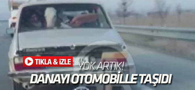 Danayı Otomobille Taşıdı