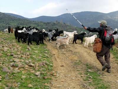 Hayatlarının yarısı yolda geçiyor