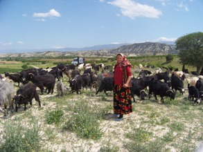 Seydişehir yaylalarında yaylayacaklar
