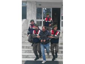 Aydın'da çalınan hayvanları Afyonkarahisar'da bulundu