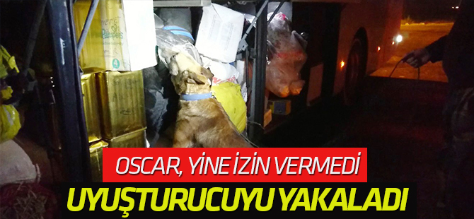 Yolcu otobüsünde uyuşturucu hap ele geçirildi