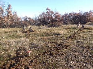 Bingöl'de terör operasyonu