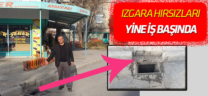 Izgara hırsızları yine iş başında