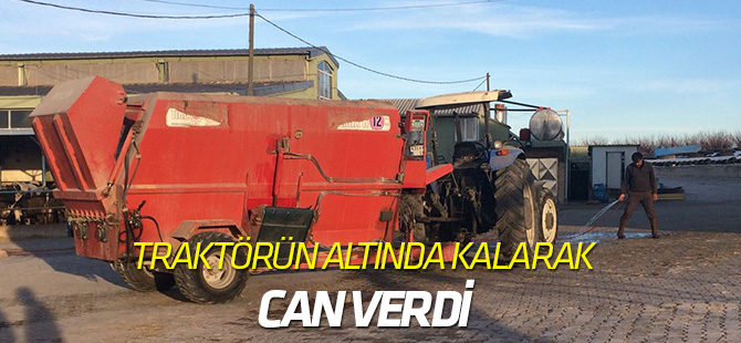 Geri manevra yapan traktörün altında can verdi