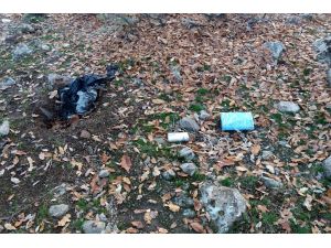 Tunceli'de terör operasyonu