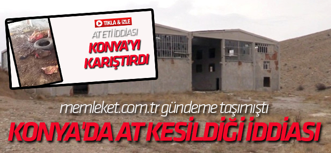 Konya'da At Kesildiği İddiası