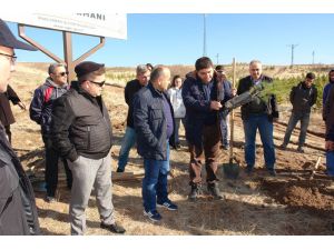Sivas'ta bin fidan toprakla buluştu