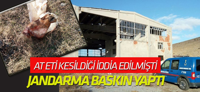 Konya’da at kesildiği iddiasına inceleme