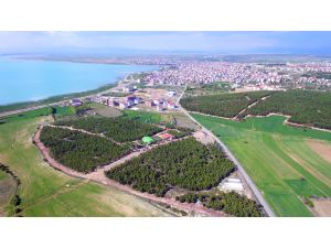 Özaltun'a "Yılın Başarılı Yerel Yöneticisi" ödülü