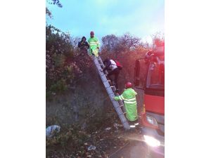 Zonguldak'ta ormanda kaybolan gençler kurtarıldı