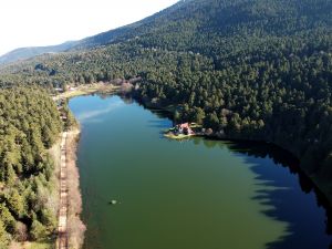 Gölcük Tabiat Parkı'nın işletmesi ihaleyle kiralanacak