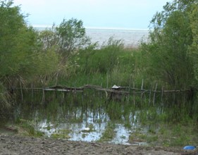 Kıyılardaki bahçeler su altında