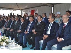 Ayvalık'taki Cennet Koyu ağaçlandırılıyor