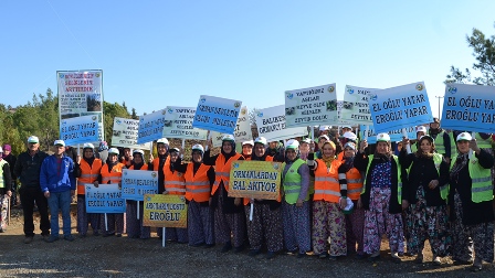 Ayvalık'taki Cennet Koyu ağaçlandırılıyor