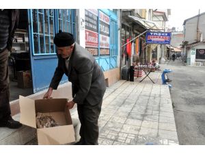 Yaralı şahin tedavi edilecek